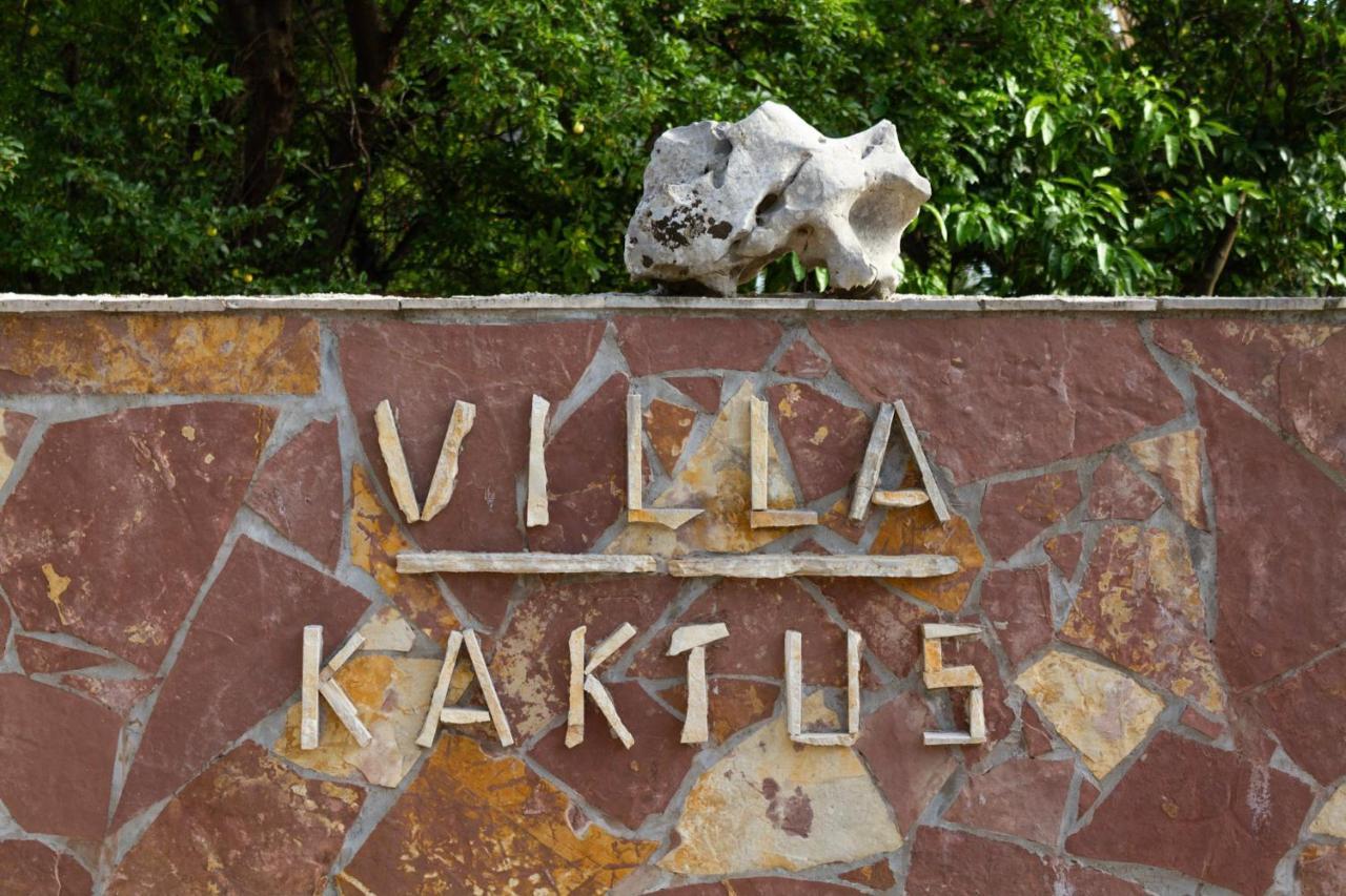 Apartment Kaktus *