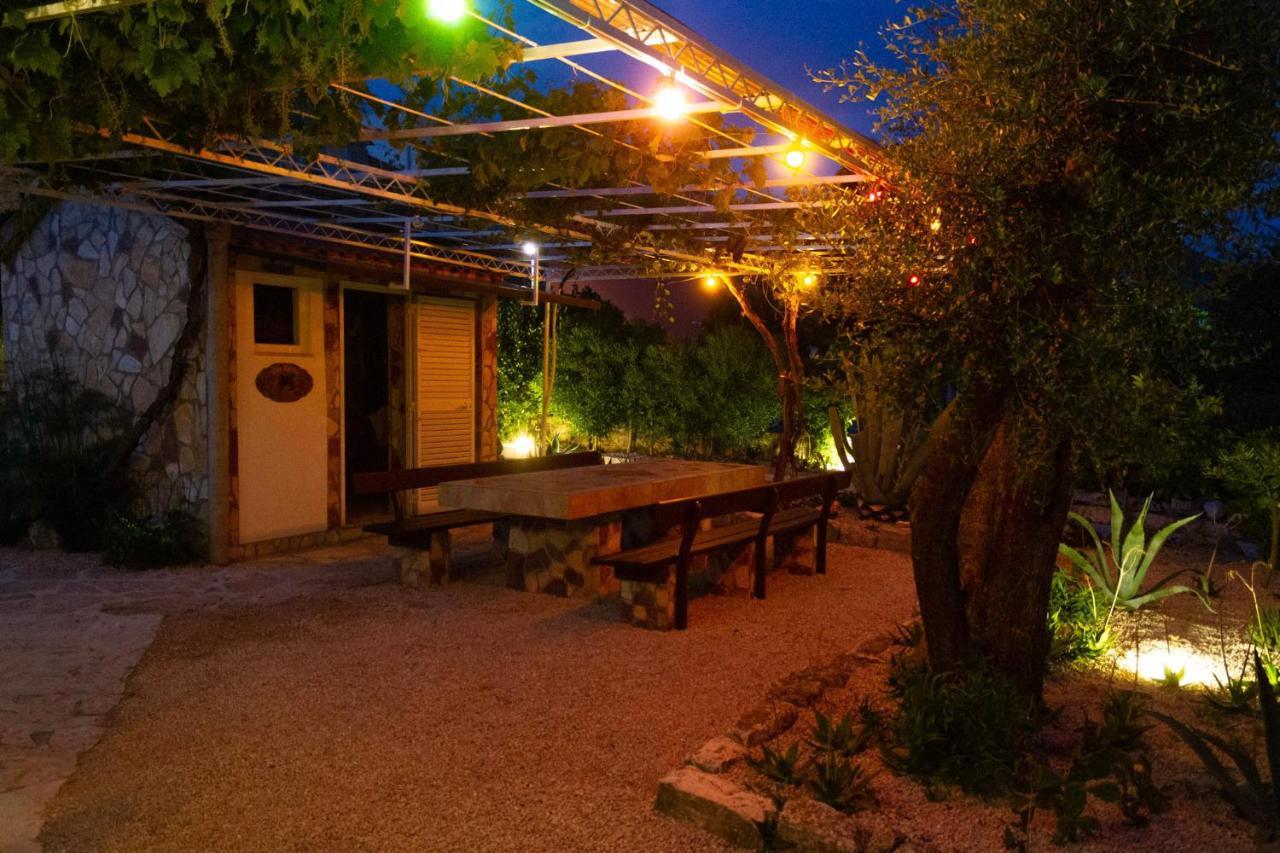 Apartment Kaktus *